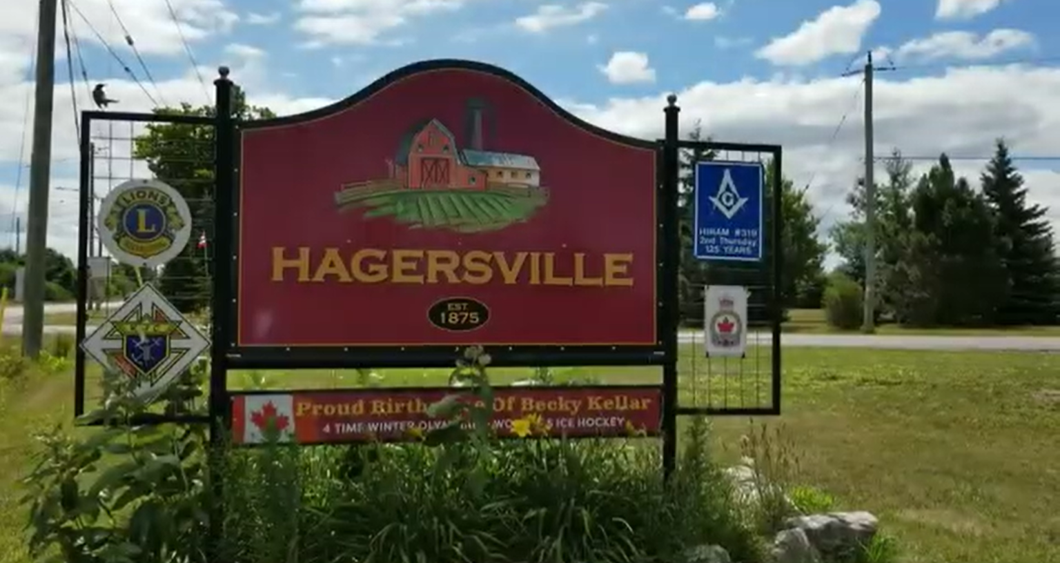 Hagersville to Toronto Pearson Airport Transportation Toronto Taxi Limo